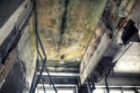 Best Mold Remediation for Healthcare Facilities  in Dover, OH